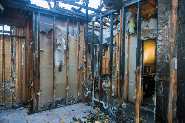 Professional Smoke Damage Removal technician working in Olympia Fields, IL